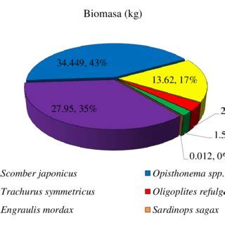 Porcentaje De Participaci N De Los Pel Gicos Menores En Los Lances