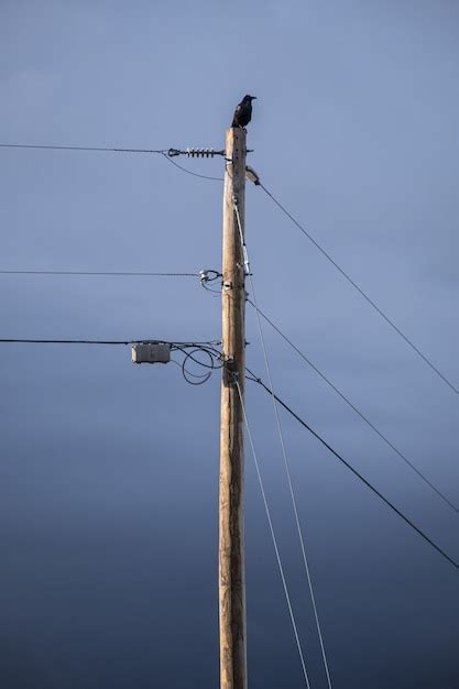 Adobe Illustrator Drawings Utility Poles