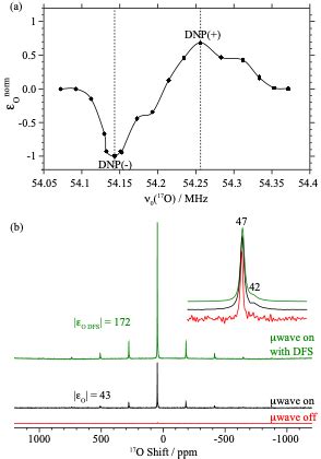 Dnp Enhanced Solid State Nmr