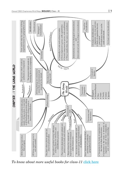 Organisation Biology Mind Map