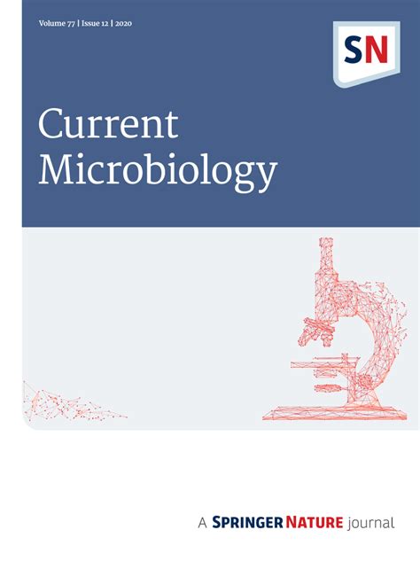 Phage Therapy In Bacterial Infections Treatment One Hundred Years