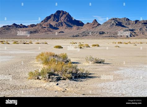 Las Salinas De Bonneville Speedway El Gran Lago De Sal Del Desierto