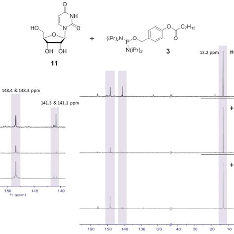 31 P Nmr Spectra Ch3cn D3 162 Mhz 25 °c Shifts δ In Ppm Of The Download Scientific