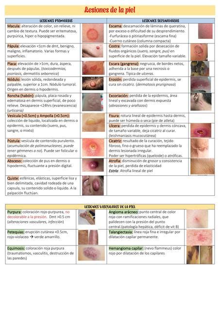 Dermatologia Udocz