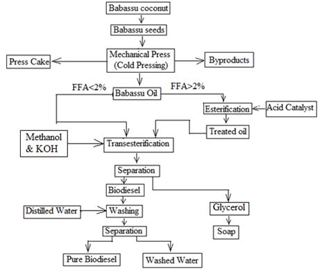 Flow Chart Of Biodiesel Production Process Download Scientific Diagram