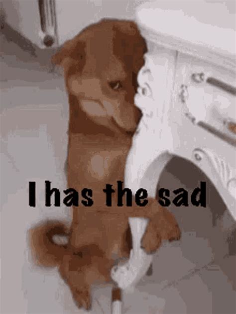 Sad Depressed GIF - Sad Depressed Dog - Discover & Share GIFs