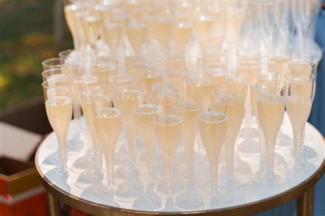 Welcome Drink Zone With Champagne In Disposable Plastic Wine Cups Many Wine Glasses On The