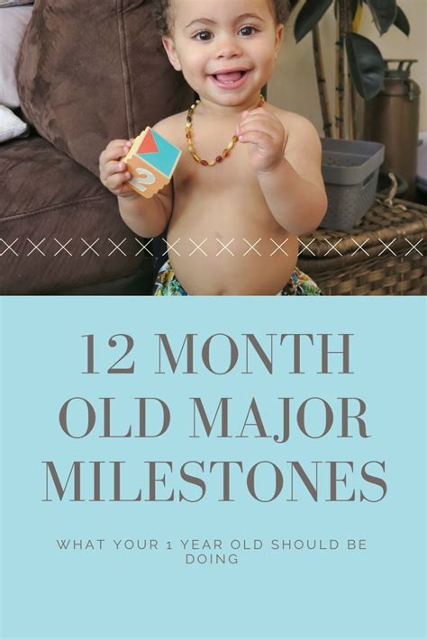 Developmental Milestones for 12 Month Olds