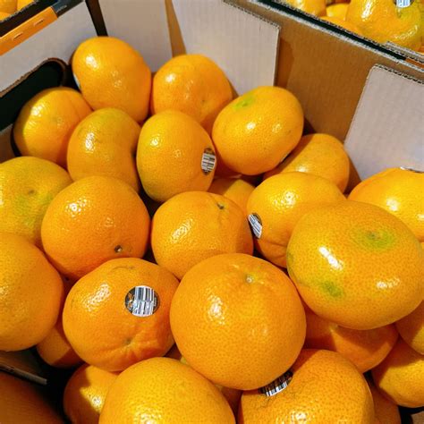 Seedless Mandarins Box Of 10kg Umall Sydneys Largest Online