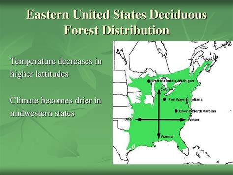 Eastern Deciduous Forest Map