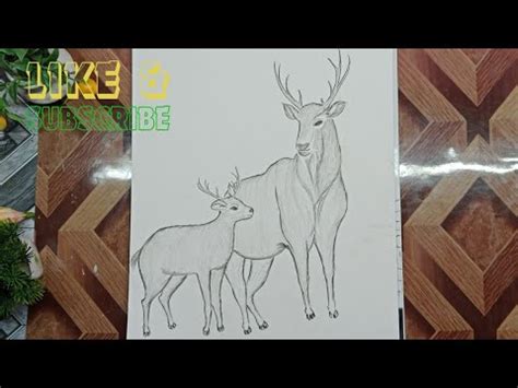 How To Draw A Deer Step By Step Pencil Drawing Tutorial Hiran Ka