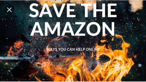 Petition · Save Amazon Rainforest India ·