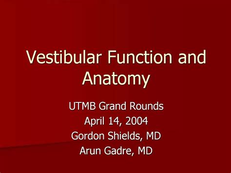 PPT - Vestibular Function and Anatomy PowerPoint Presentation, free ...