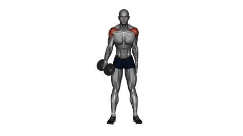 Beginner S Guide To Mastering Dumbbell One Arm Lateral Raises Elevate