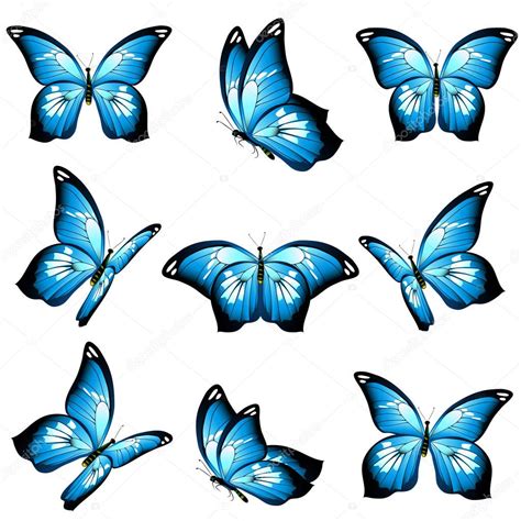 Conjunto De Hermosas Mariposas Azules Aisladas Sobre Fondo Blanco