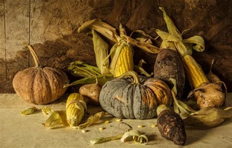 Wallpaper Corn Harvest Pumpkin Still Life Vegetables Autumn Still