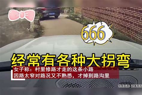 女司机回村吃席车掉进路沟，村里狗狗第一时间围观：成话题中心