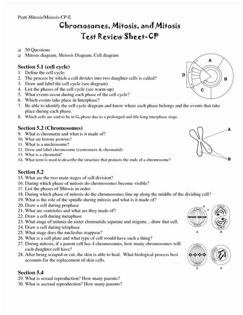 Meiosis Reading Worksheet