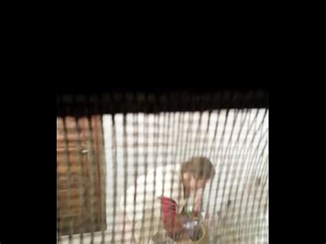 20151009 205224 XVIDEOS