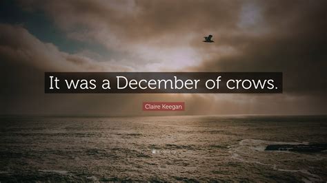 Claire Keegan Quote: “It was a December of crows.”