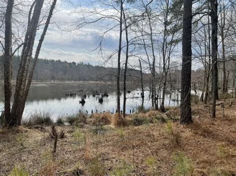 Best Lake Trails in Creedmoor | AllTrails