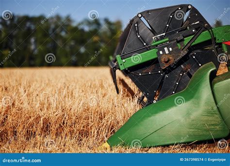 Agricultural Combine Harvester In The Field During Harvest Ripe Wheat