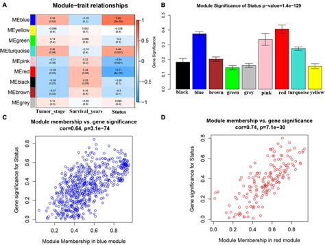 Frontiers Identification And Validation Of A Novel Prognosis