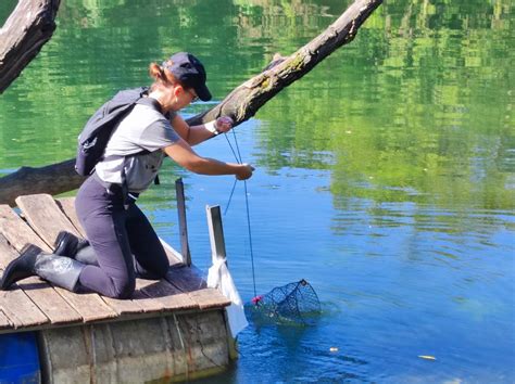 Naturaviva Hr Kontrola Populacija Signalnog Raka U Rijekama Korani I