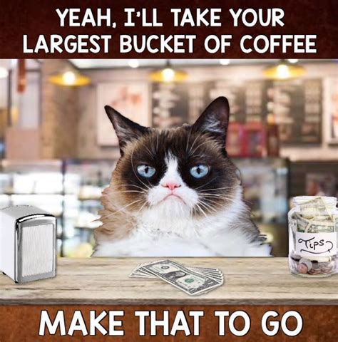 Grumpy Cat Coffee ☕️ Grumpy Cat Cats Cat Coffee