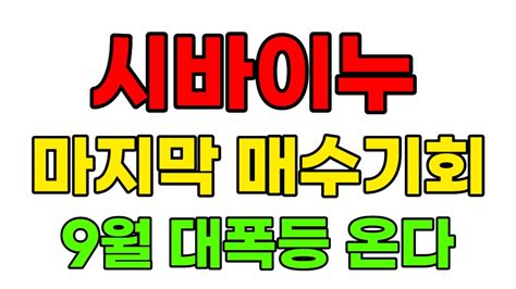 시바이누 마지막 매수기회 9월 대폭등 온다 Youtube