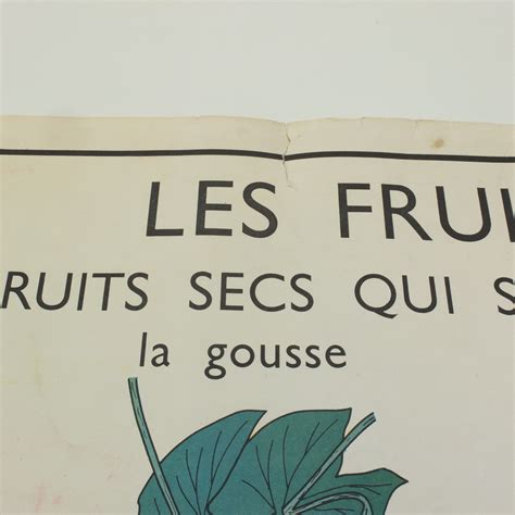 Affiche Scolaire Rossignol 9and10 Les Fruits And La Graine Vintage Magic