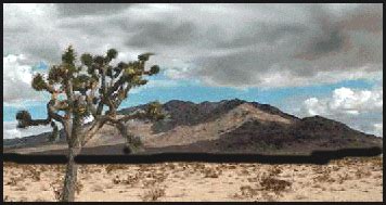 Mojave Desert History