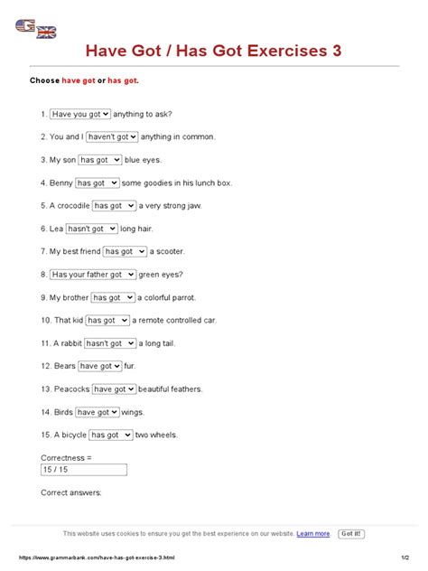 Have Got Or Has Got Exercises 3 Grammarbank Pdf
