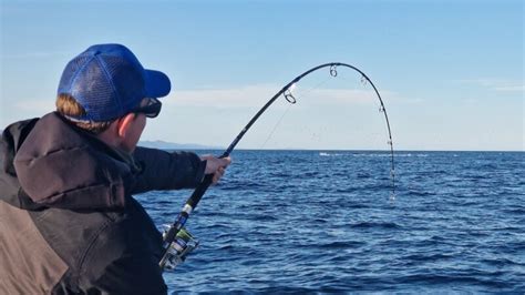 Salida en Barco de Pesca desde Carboneras Mojácar Fiesta