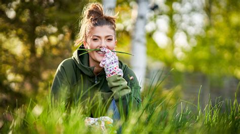 Rasensamen Dünger für sattes Grün Blumen Risse