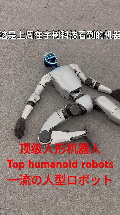 humanoid robot