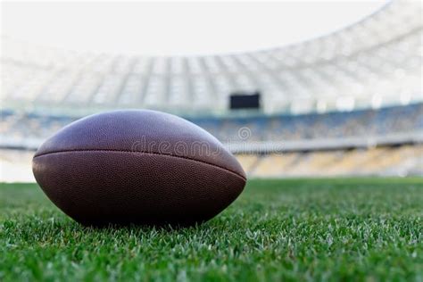 Rugby Ball on Green Grass at Stock Photo - Image of grassy, stadium ...