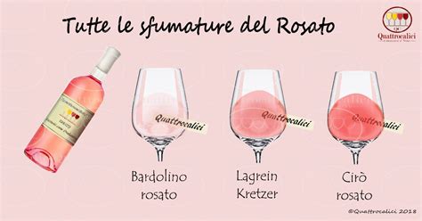 Vini Rosati Quattrocalici Conoscere Il Vino