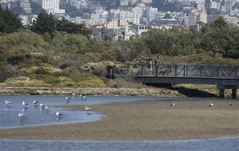 Asla Landmark Award Crissy Field An Enduring Transformation