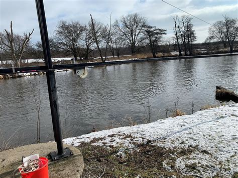 Water Quality Testing Data For Springbrook Water Reclamation Center