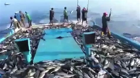 Mmpi Metode Penangkapan Ikan Topik Teknologi Penangkapan Tuna Youtube