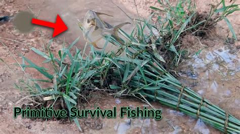 Primitive Survival Fishing Survival Skills Catching Fish Unique