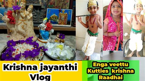 Krishna Jayanthi Celebration Vlog Enga Veettu Kutty Krishna