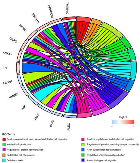 Ijms Free Full Text Cd Modulates The Proteomic Landscape Of Ewing