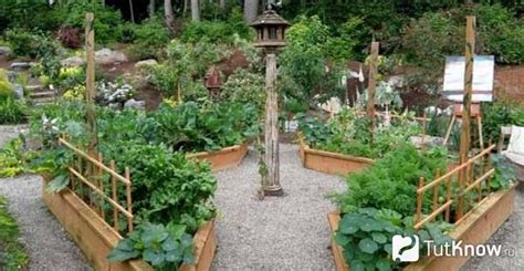 Ограждения для грядок своими руками