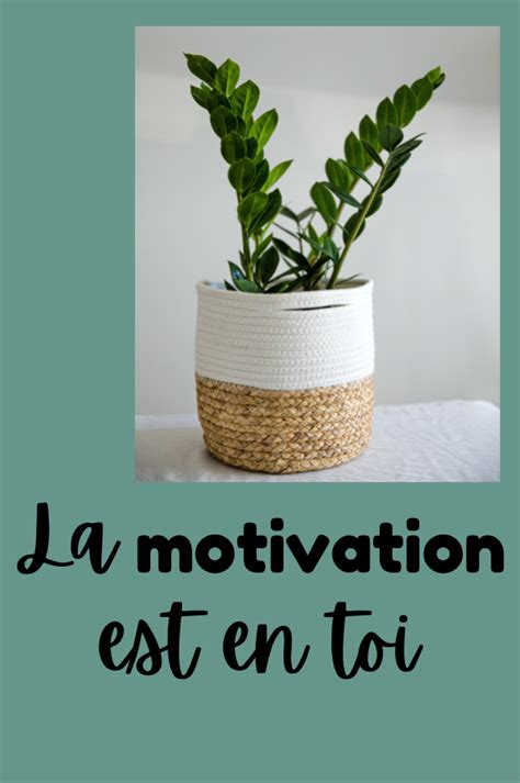 Affiches de motivation thème Plantes et cactus