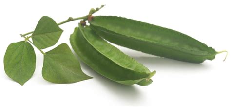 premium photo winged bean