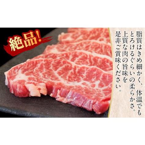 ふるさと納税 徳島県 小松島市 【チョイス限定】※冷凍 ハラミ 国産 黒毛和牛 500g 特選 黒毛和牛 阿波牛 牛肉 焼肉 焼き肉