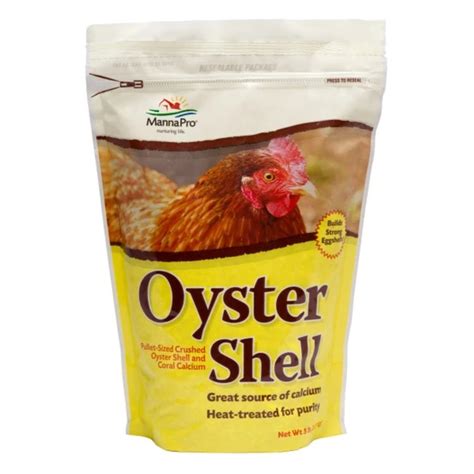 Oyster Shell