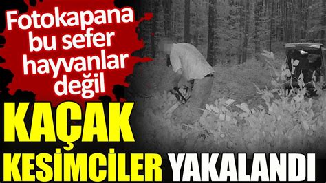 Fotokapana bu sefer hayvanlar değil kaçak kesimciler yakalandı